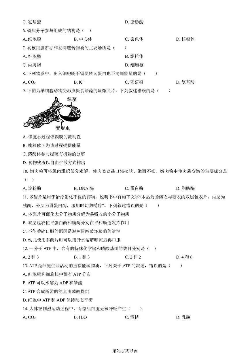 2026北京铁二中高一（上）期末生物（教师版）试卷（含答案）第2页