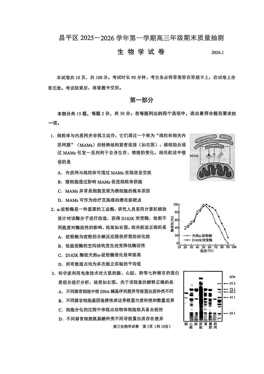 2025-2026学年北京市昌平区高三上学期1月期末质量抽检生物试题（含答案）第1页