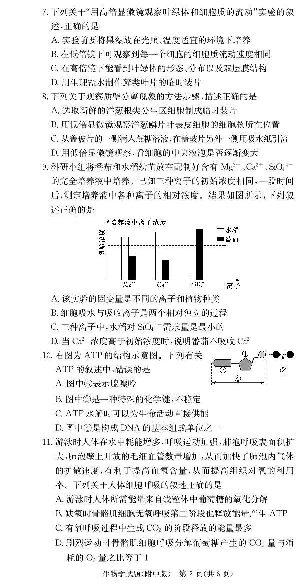 湖南师范大学附属中学2024-2025学年高一上学期1月期末试题生物试卷（无答案）第2页