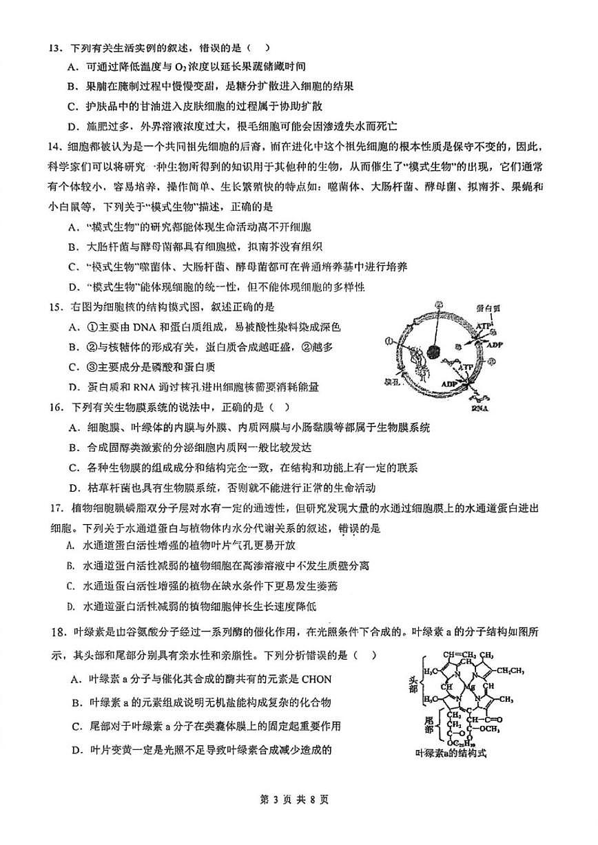 2025—2026学年福建省福州第三中学高一上学期资优生（实验班）期末检测生物试题（含答案）第3页