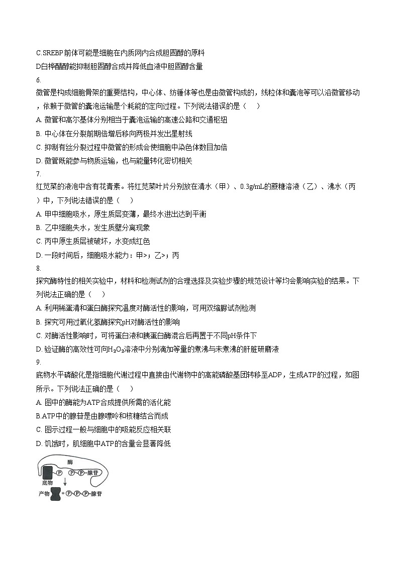 山东省德州市某校2025_2026学年高一上学期期末模拟测试一生物试题（文字版，含答案）第2页