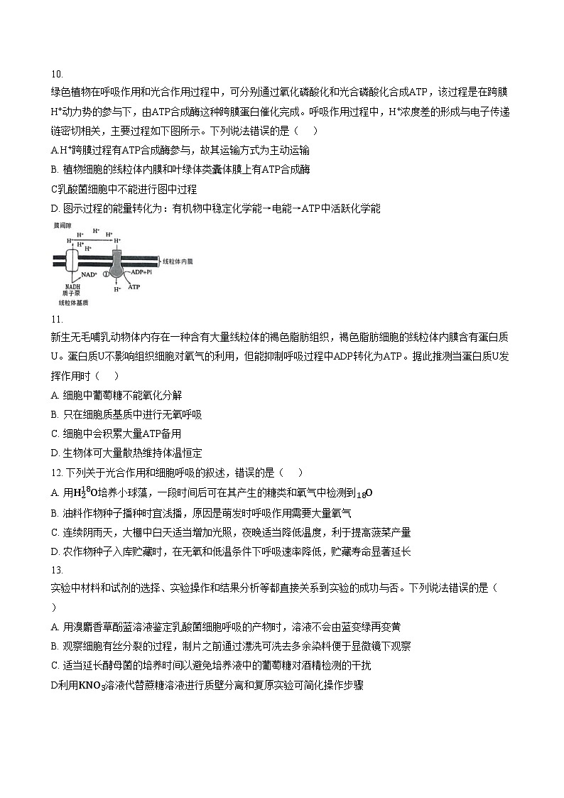 山东省德州市某校2025_2026学年高一上学期期末模拟测试一生物试题（文字版，含答案）第3页