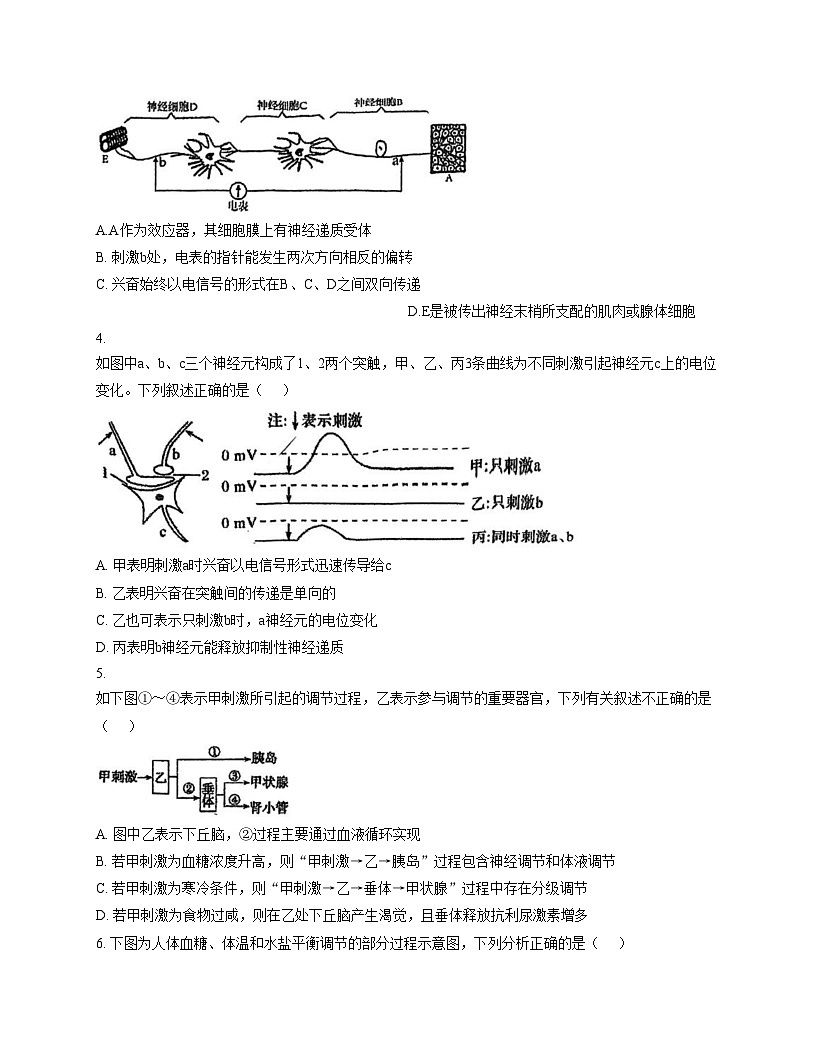 天津市河东区三十二中2025_2026学年高二上学期第二次月考生物试卷（文字版，含答案）第2页
