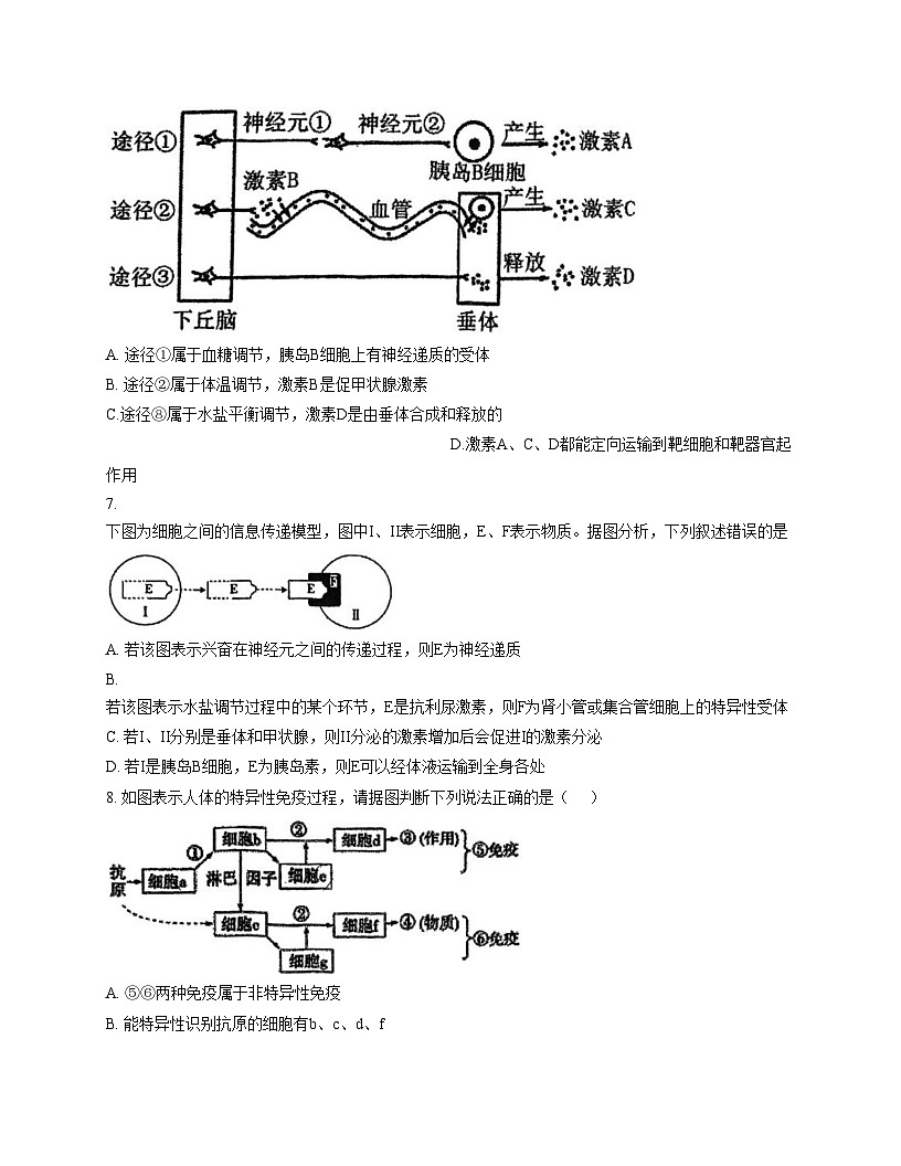天津市河东区三十二中2025_2026学年高二上学期第二次月考生物试卷（文字版，含答案）第3页