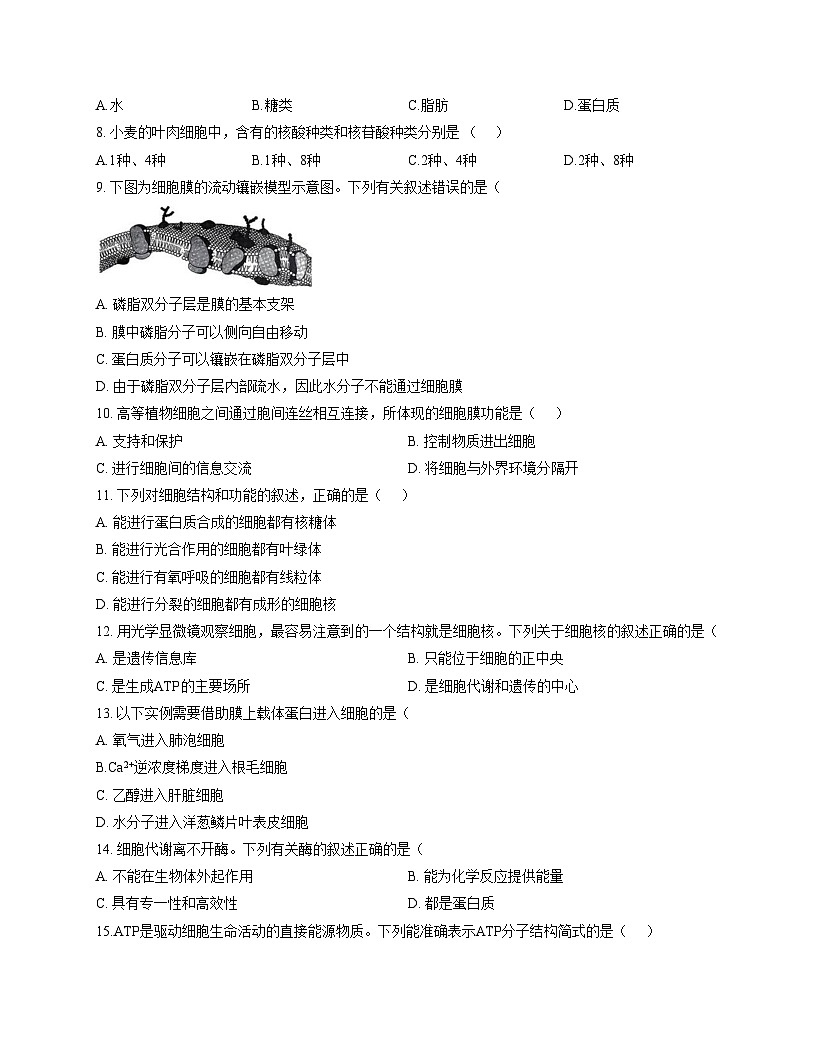 云南省2025年春季学期普通高中学业水平合格性考试生物学试卷（文字版，含答案）第2页