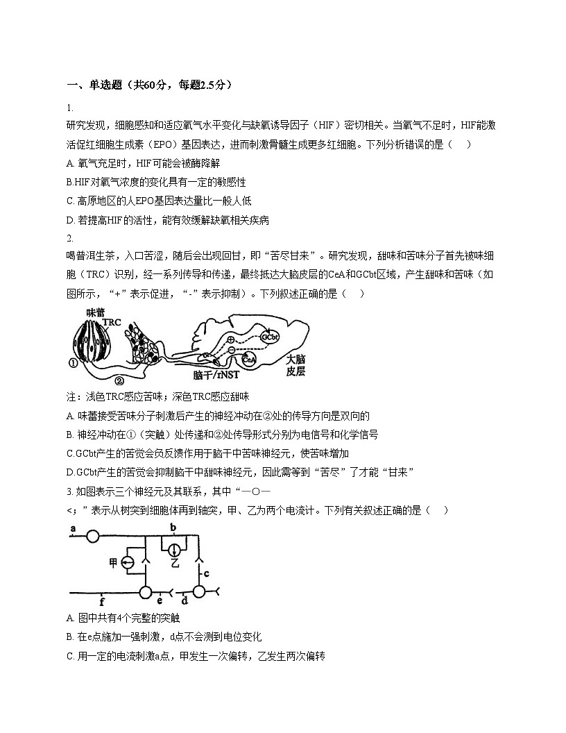 天津市第七中学2025_2026学年高二上学期第二次月考生物试卷（文字版，含答案）第1页