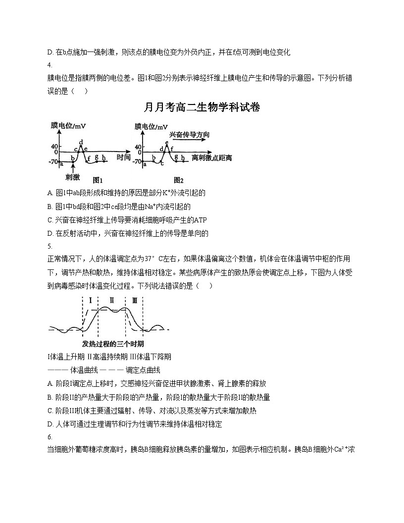 天津市第七中学2025_2026学年高二上学期第二次月考生物试卷（文字版，含答案）第2页