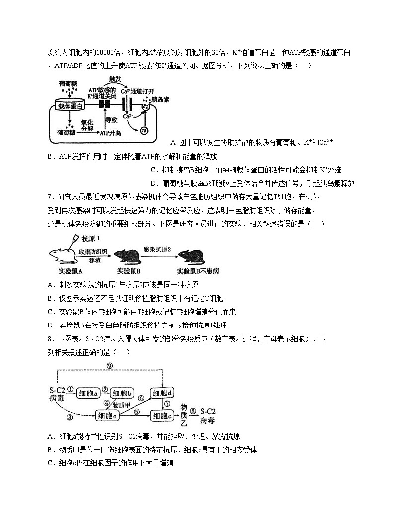 天津市第七中学2025_2026学年高二上学期第二次月考生物试卷（文字版，含答案）第3页