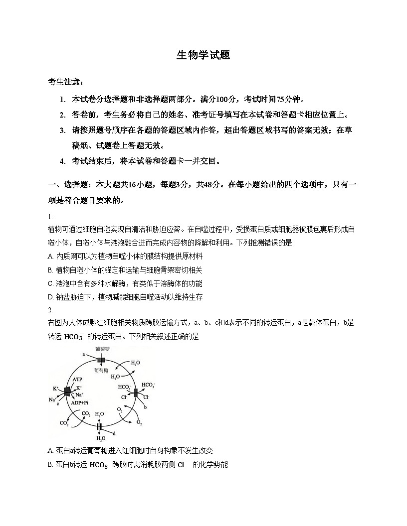 西北四省三重教育2025_2026学年高三上学期12月高考适应性考试生物试卷（文字版，含答案）第1页