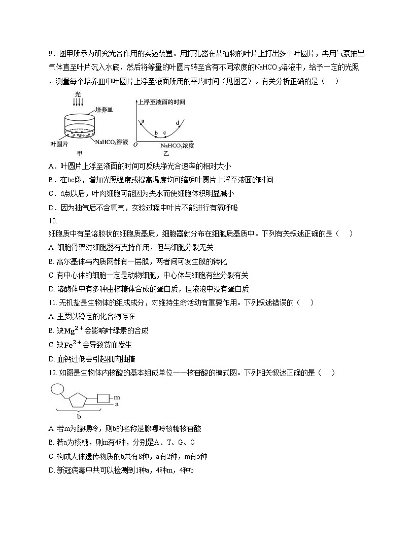 云南省文山壮族苗族自治州富宁县新纪元云贵发展中心2025_2026学年高一上学期12月月考生物试题（文字版，含答案）第3页