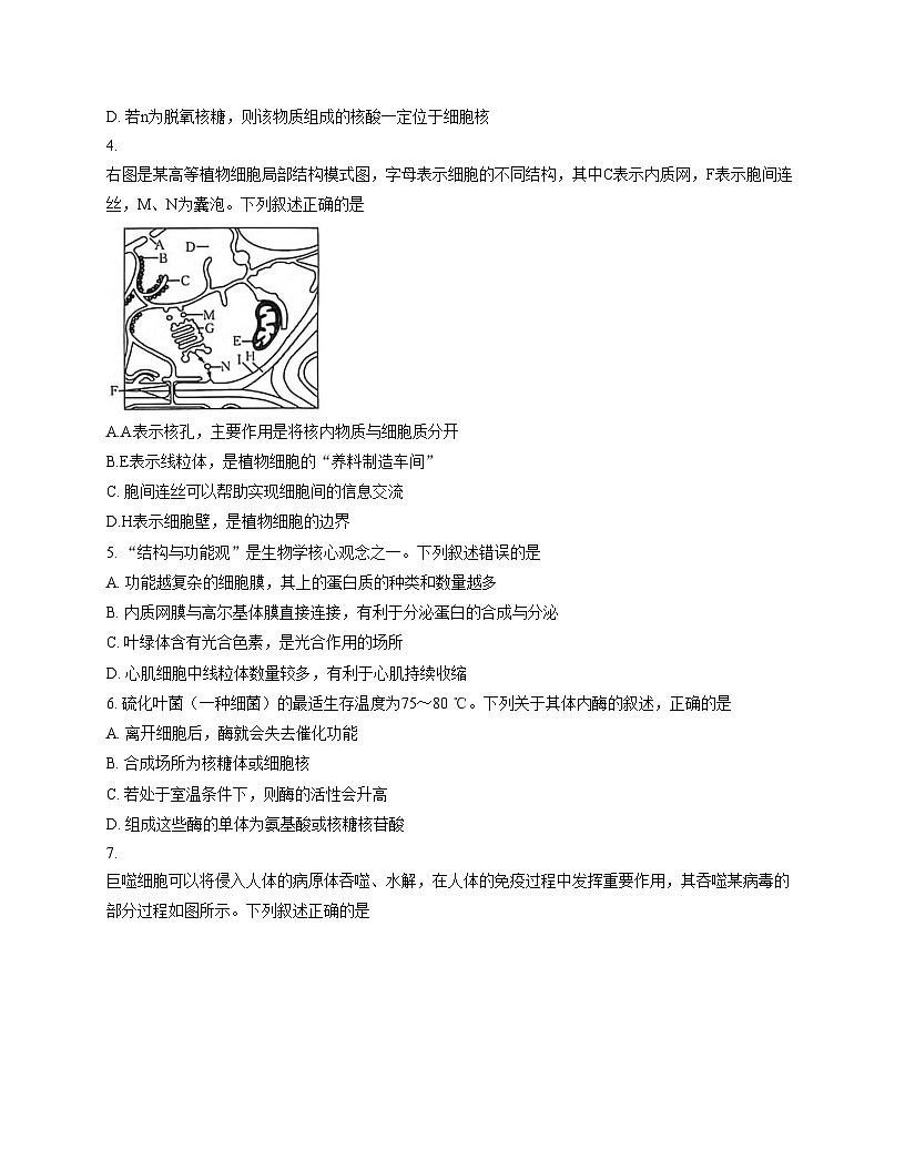 河南省南阳地区2025_2026学年高一上学期12月阶段考试生物试卷（文字版，含答案）第2页