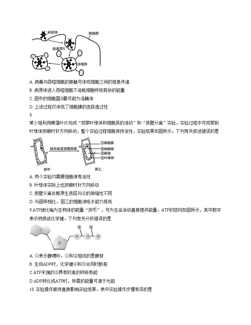 河南省南阳地区2025_2026学年高一上学期12月阶段考试生物试卷（文字版，含答案）第3页