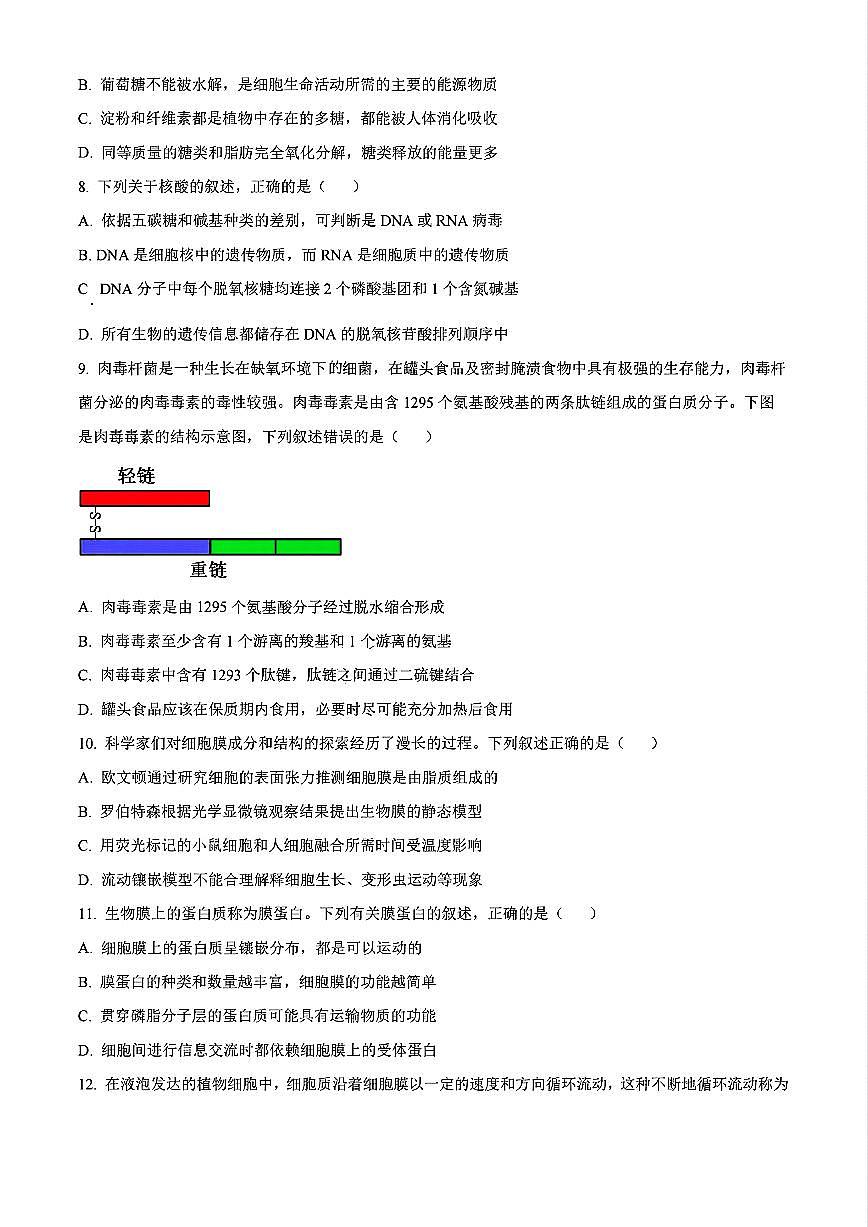 辽宁省沈阳市联合体2024-2025学年高一上学期11月期中考试生物试题（无答案）第3页