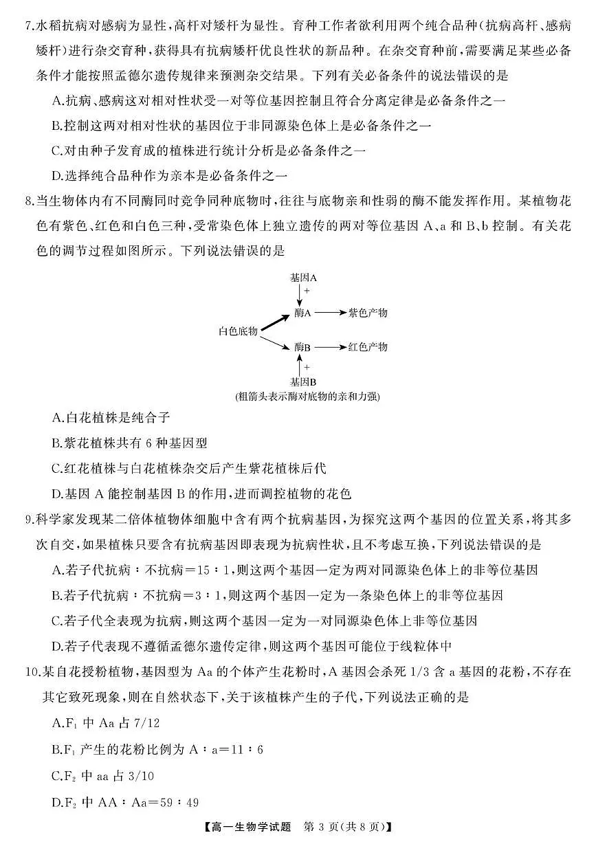 湖南省三湘名校教育联盟2024-2025学年高一下学期期中考试生物试卷（无答案）第3页