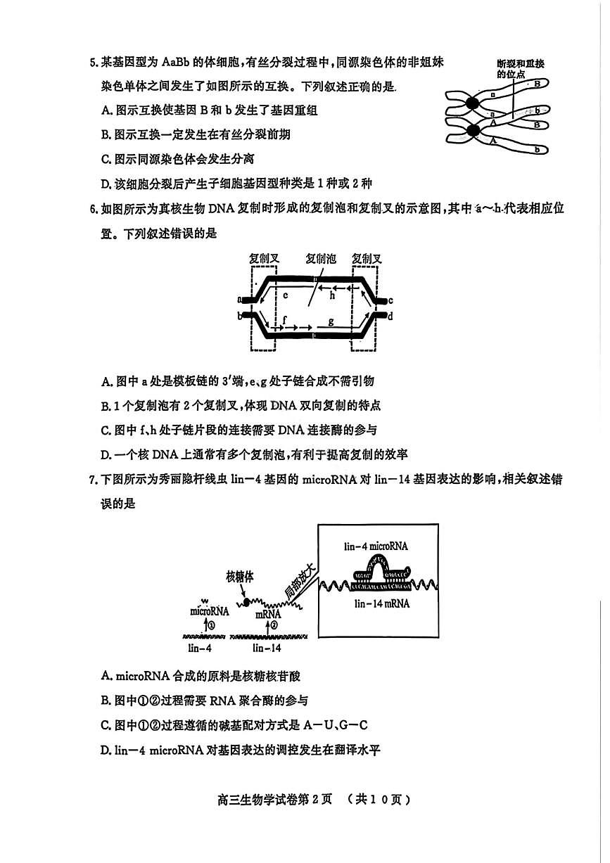 江苏省南京市、盐城市2026届高三第一次高考模拟考试生物试卷+答案第2页