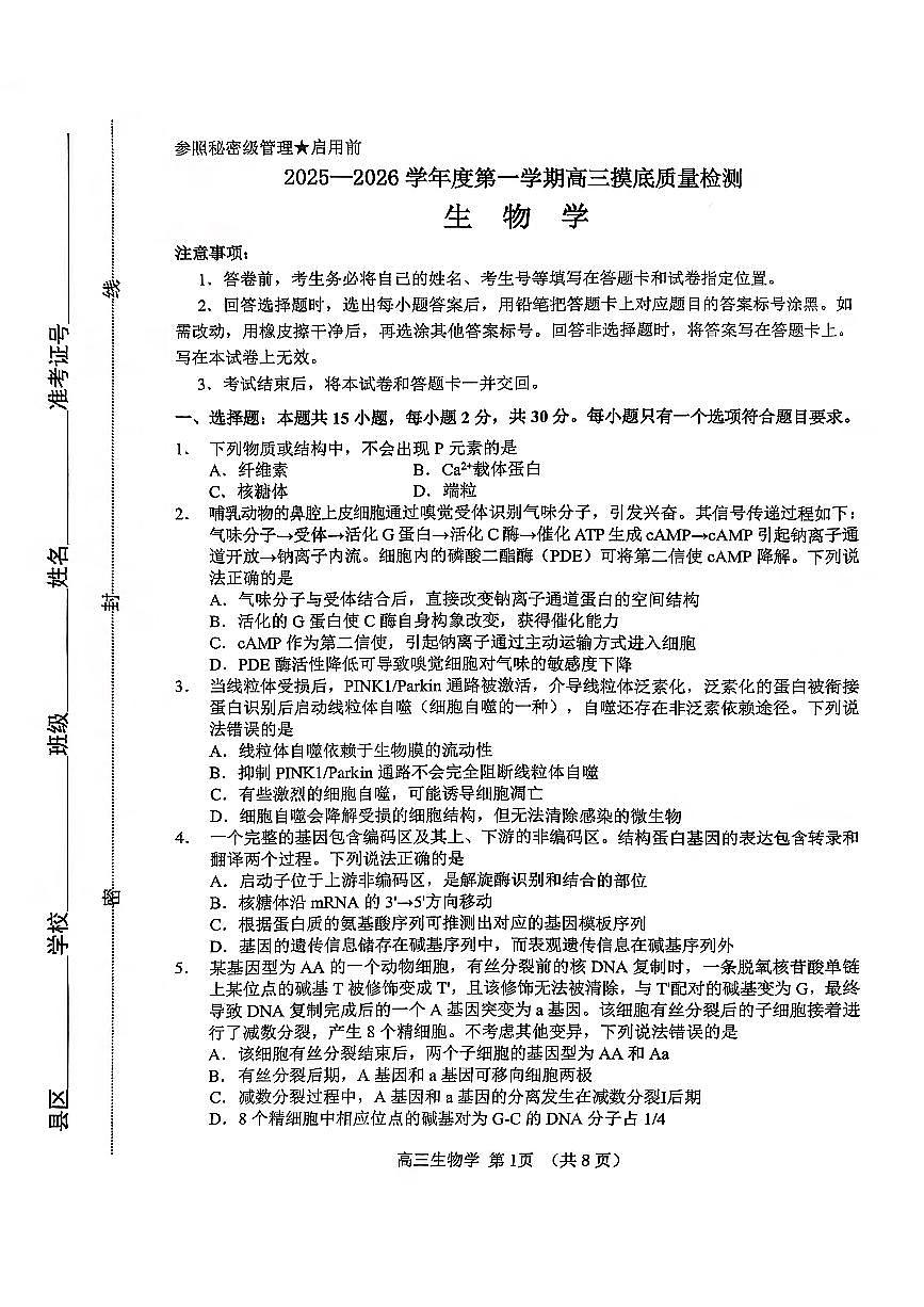 淄博市2025一2026学年度高三上学期1月摸底质量检测生物试卷+答案第1页