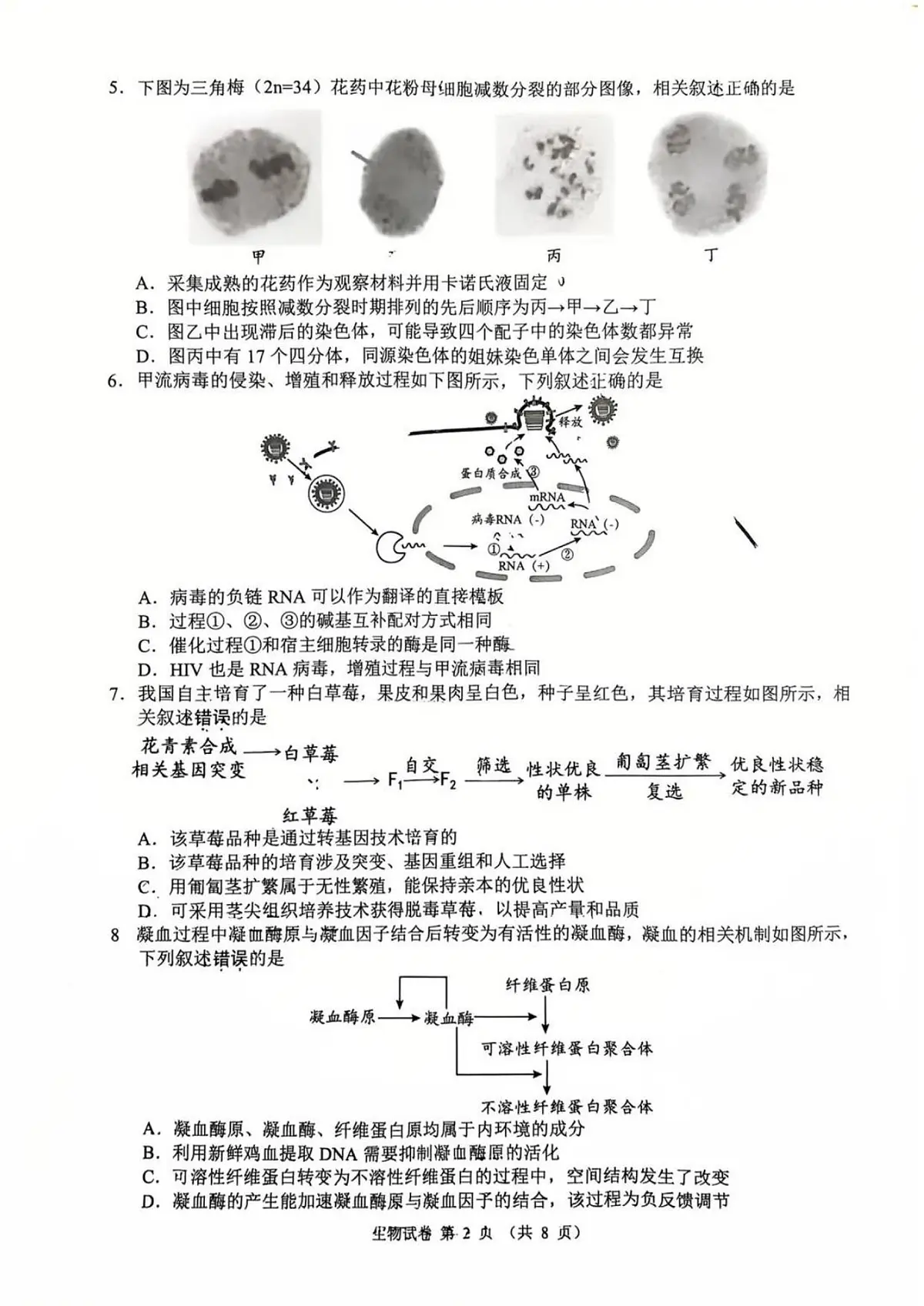 江苏省扬州市2025-2026学年高三上学期期末考试生物试题第2页