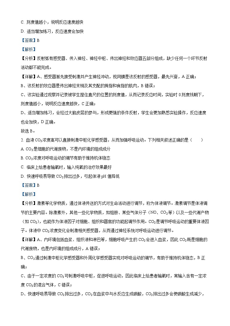 北京市丰台区2024-2025学年高二上学期期末生物试题  含解析第2页
