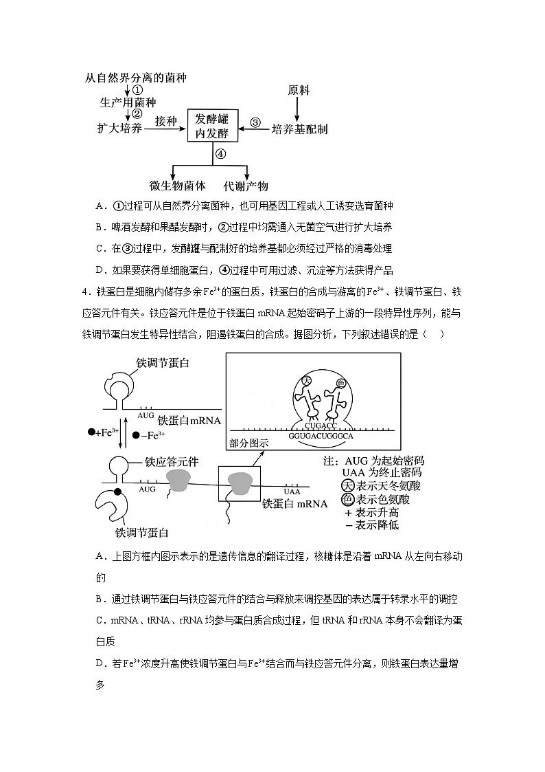 2026年陕西省榆林市高三二模考试生物试题（无答案）第2页
