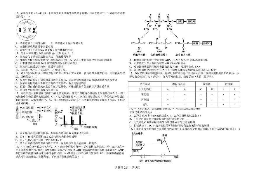 2025-2026学年河北省邯郸市NT20名校联合体高一上学期1月质量检测生物学（含答案）试卷第2页