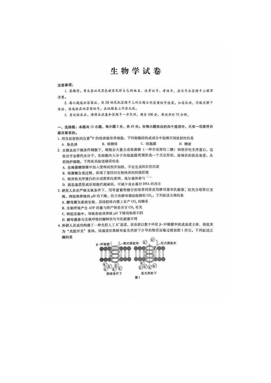 2025-2026学年重庆市巴蜀中学高三上学期一模考试生物（含解析）试卷第1页