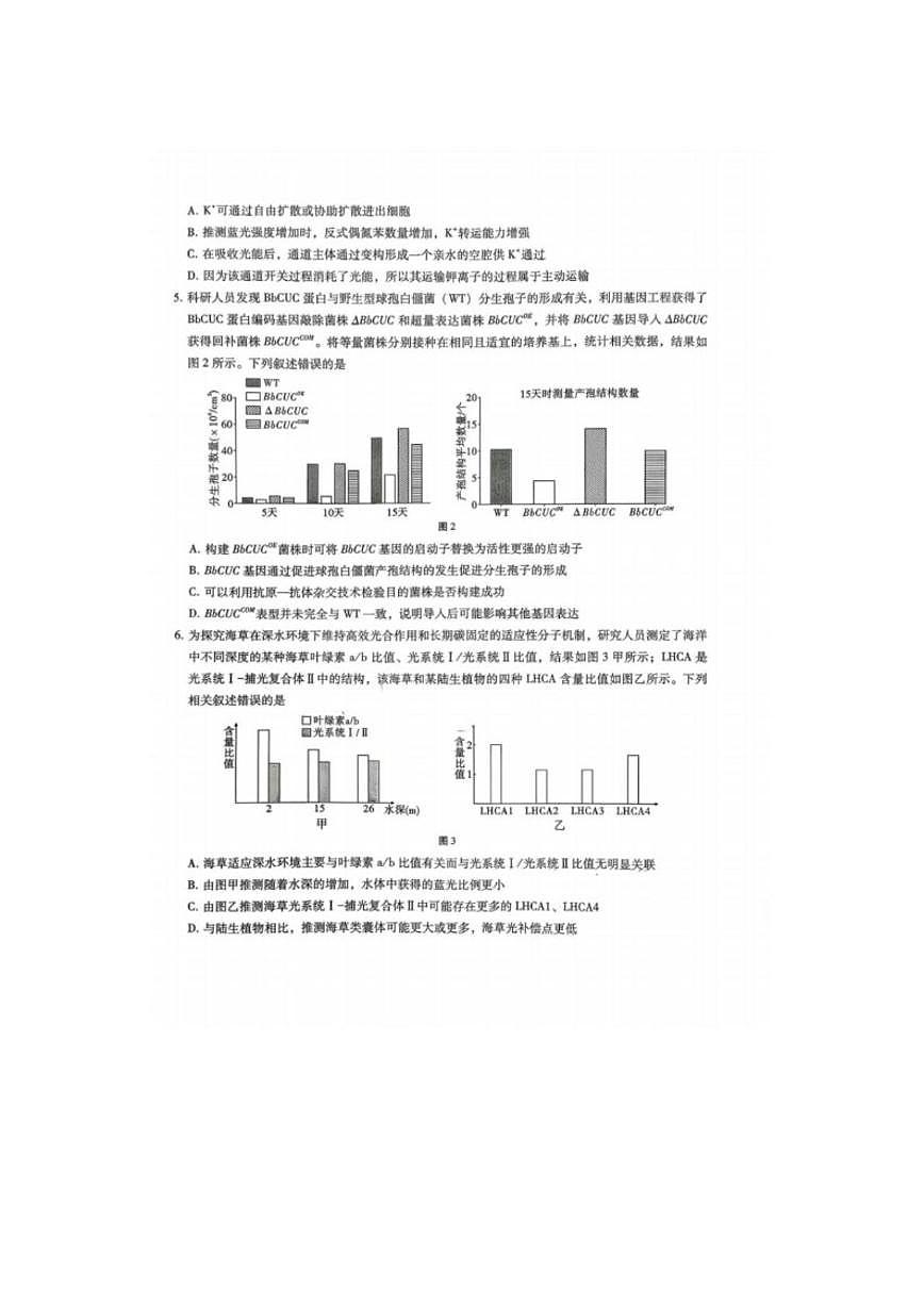 2025-2026学年重庆市巴蜀中学高三上学期一模考试生物（含解析）试卷第2页