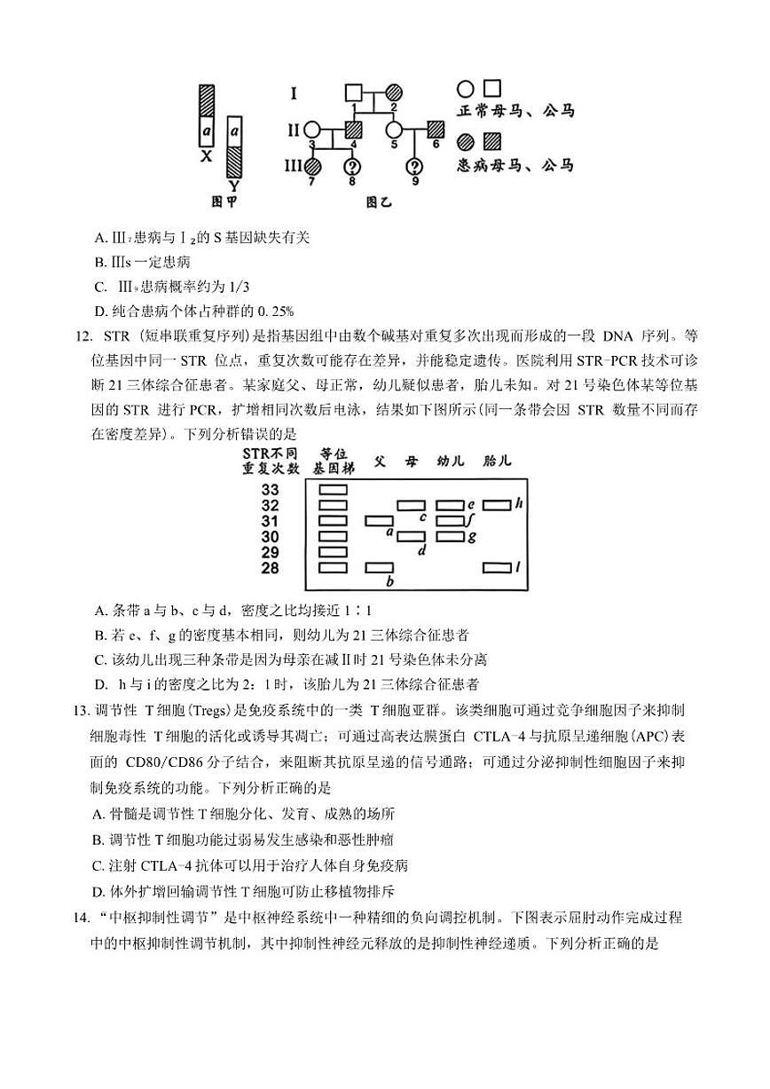 2026届四川省绵阳市高三上第二次诊断性考试生物学（A）（含答案）试卷第3页