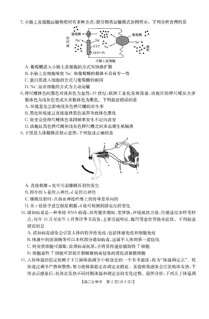 金太阳广东省2027届高二上学期12月联考（26-149B）生物试卷（含答案）第2页