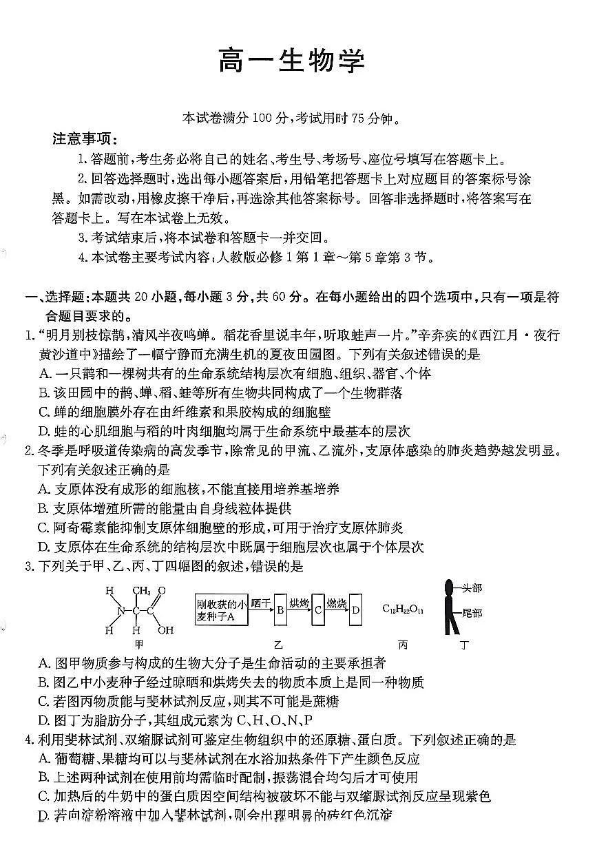 金太阳广东省2028届高一上学期12月联考（26-152A）生物试卷（含答案）第1页