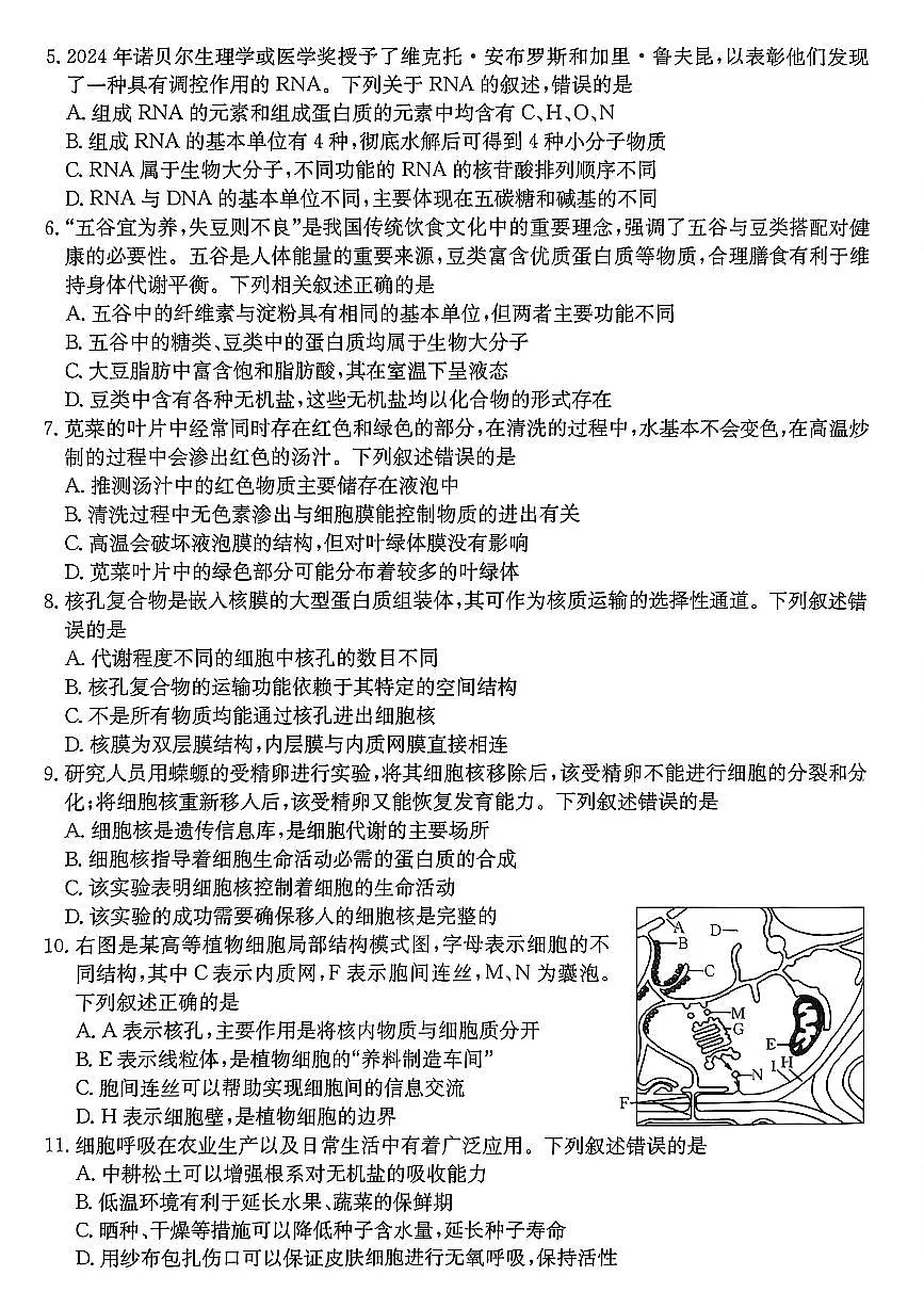 金太阳广东省2028届高一上学期12月联考（26-152A）生物试卷（含答案）第2页