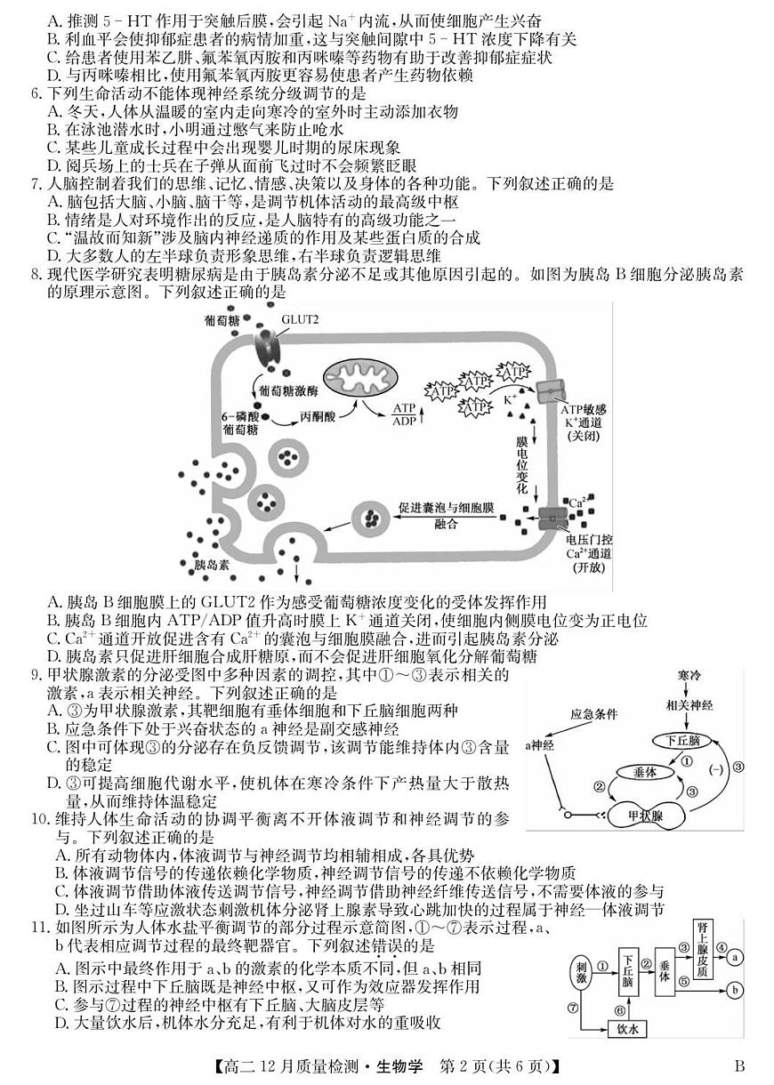 河北省保定市部分高中2025-2026学年高二上学期12月月考生物试卷（无答案）第2页