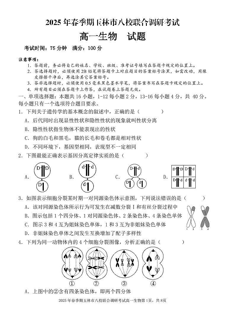 广西玉林市八校2024-2025学年高一下学期4月期中联合调研测试生物试卷（无答案）第1页