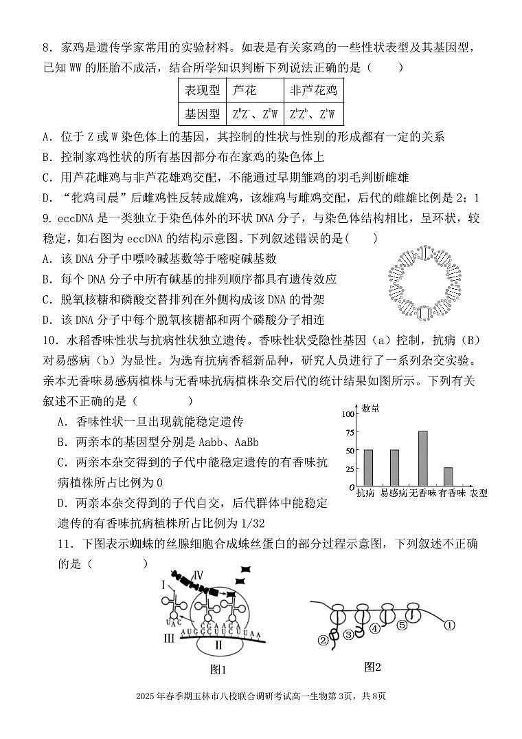 广西玉林市八校2024-2025学年高一下学期4月期中联合调研测试生物试卷（无答案）第3页