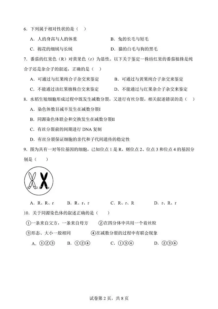 云南省玉溪市一中2024-2025学年高一下学期期中考试生物试卷（无答案）第2页