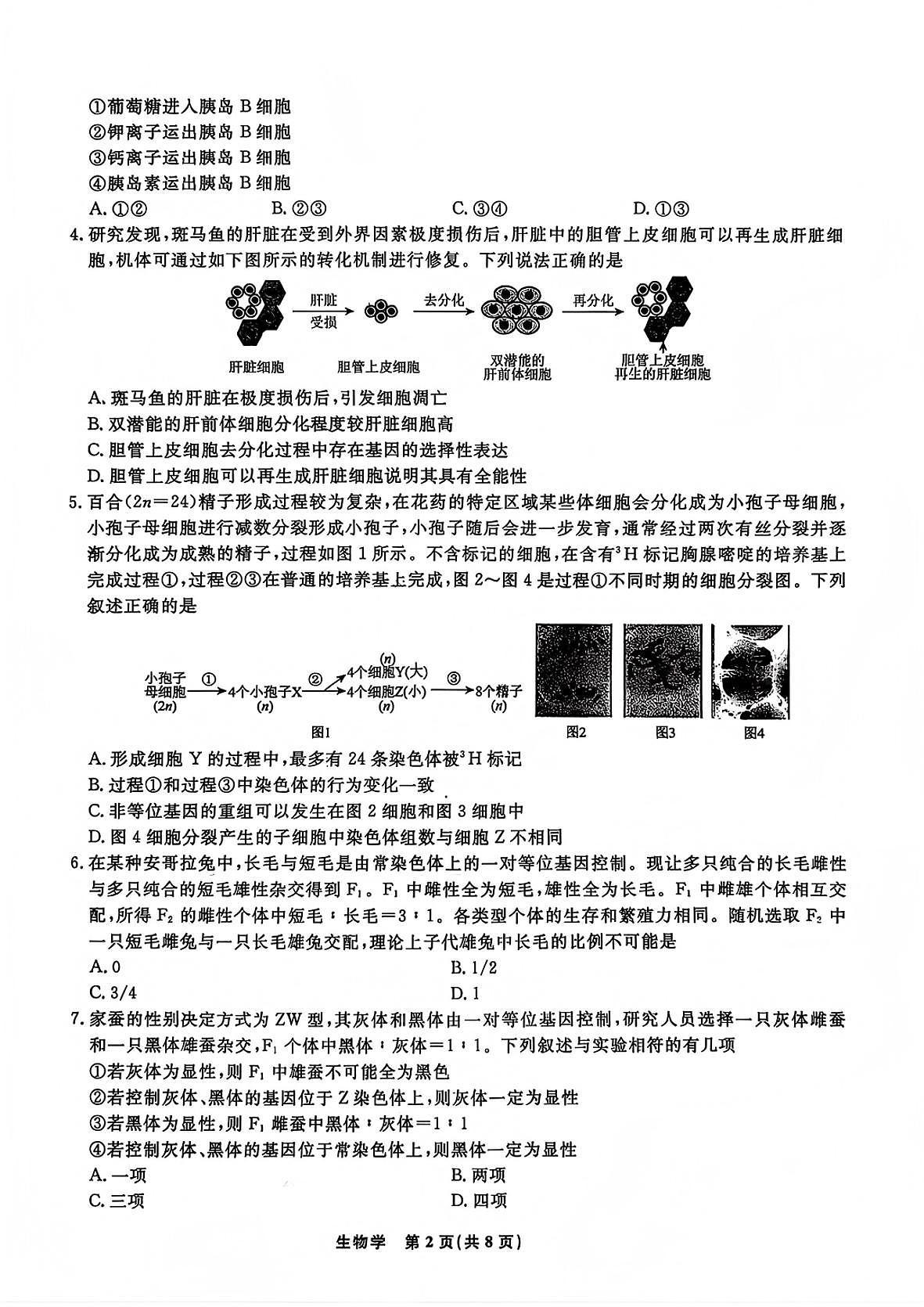 生物-吉林省普通高中2025-2026学年度高中毕业年级第二次调研测试（吉林二调）试卷及答案第2页