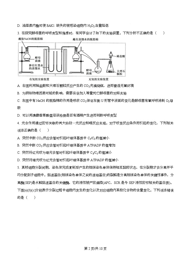 湖北省部分高中2026届高三上学期期末生物试题（原卷版）第2页