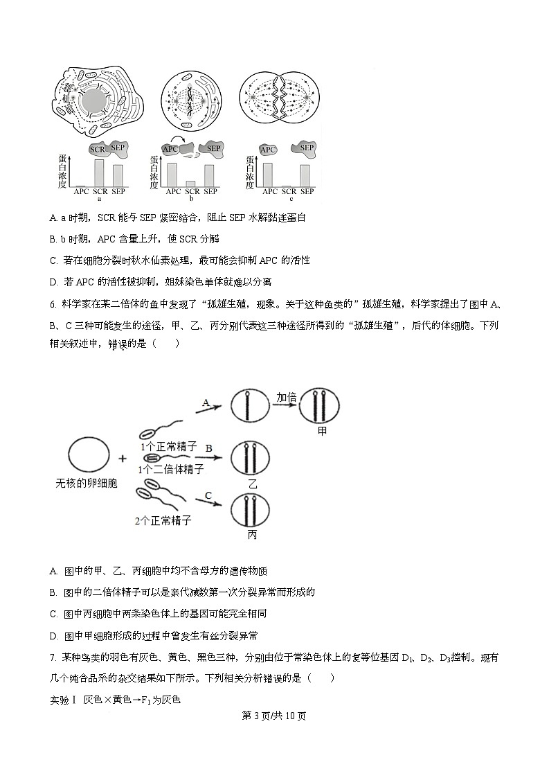 湖北省部分高中2026届高三上学期期末生物试题（原卷版）第3页