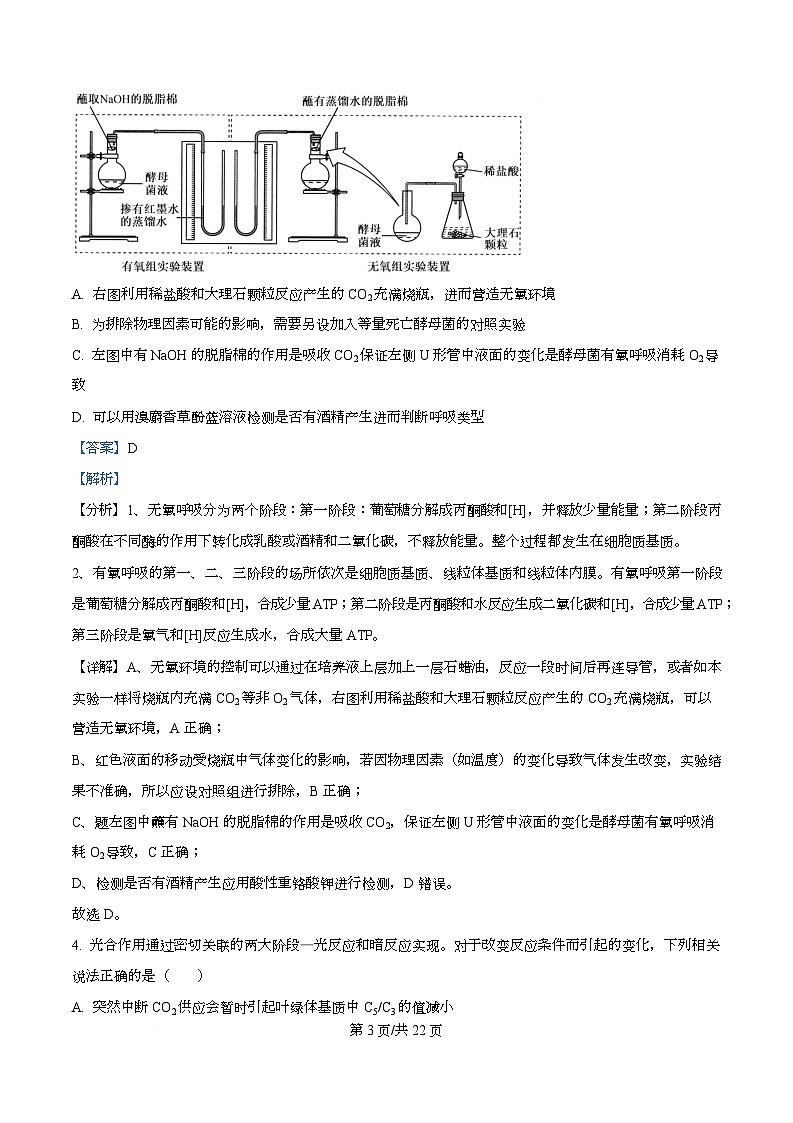 湖北省部分高中2026届高三上学期期末生物试题 Word版含解析第3页