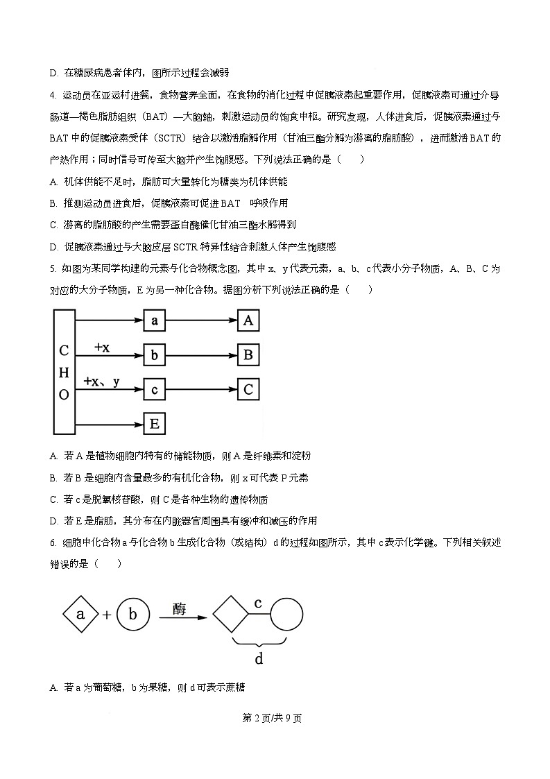 湖北省随州市部分高中2025-2026学年高一上学期期末联考生物试题（原卷版）第2页