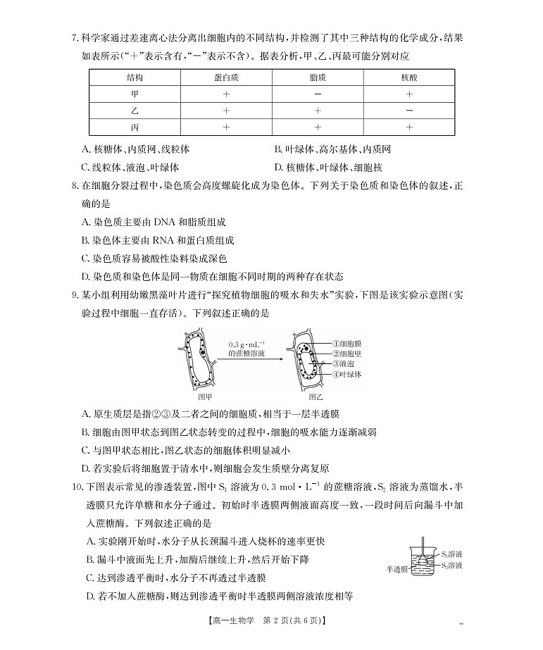 金太阳甘肃省陇南地区2025-2026学年高一上学期阶段性检测生物试卷第2页