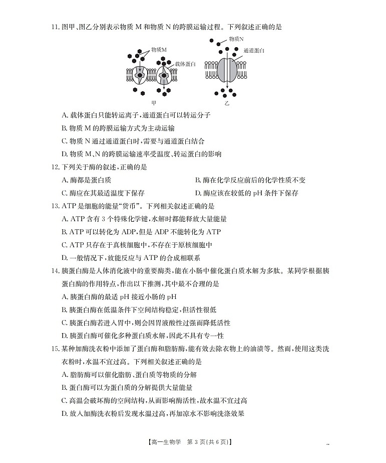 金太阳甘肃省陇南地区2025-2026学年高一上学期阶段性检测生物试卷第3页