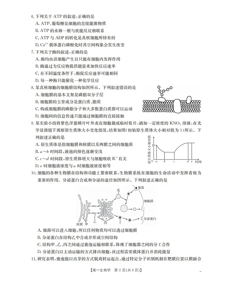 金太阳甘肃省天水市2025-2026学年高一上学期1月月考阶段性检测生物试卷第2页