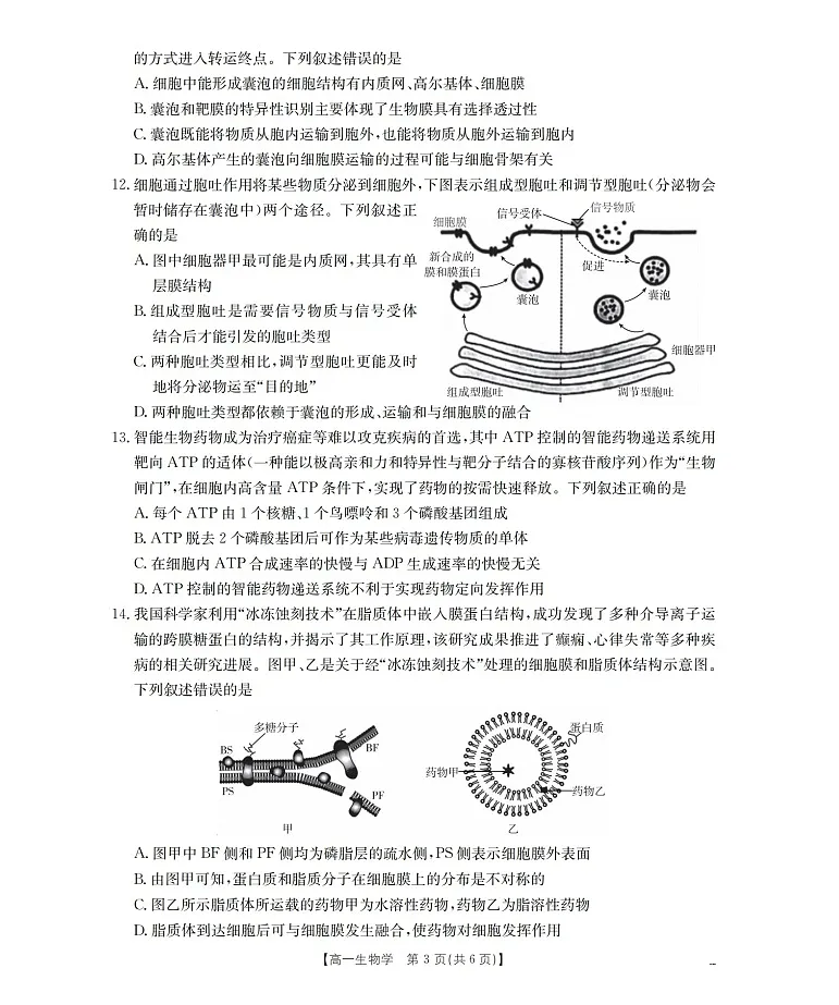 金太阳甘肃省天水市2025-2026学年高一上学期1月月考阶段性检测生物试卷第3页