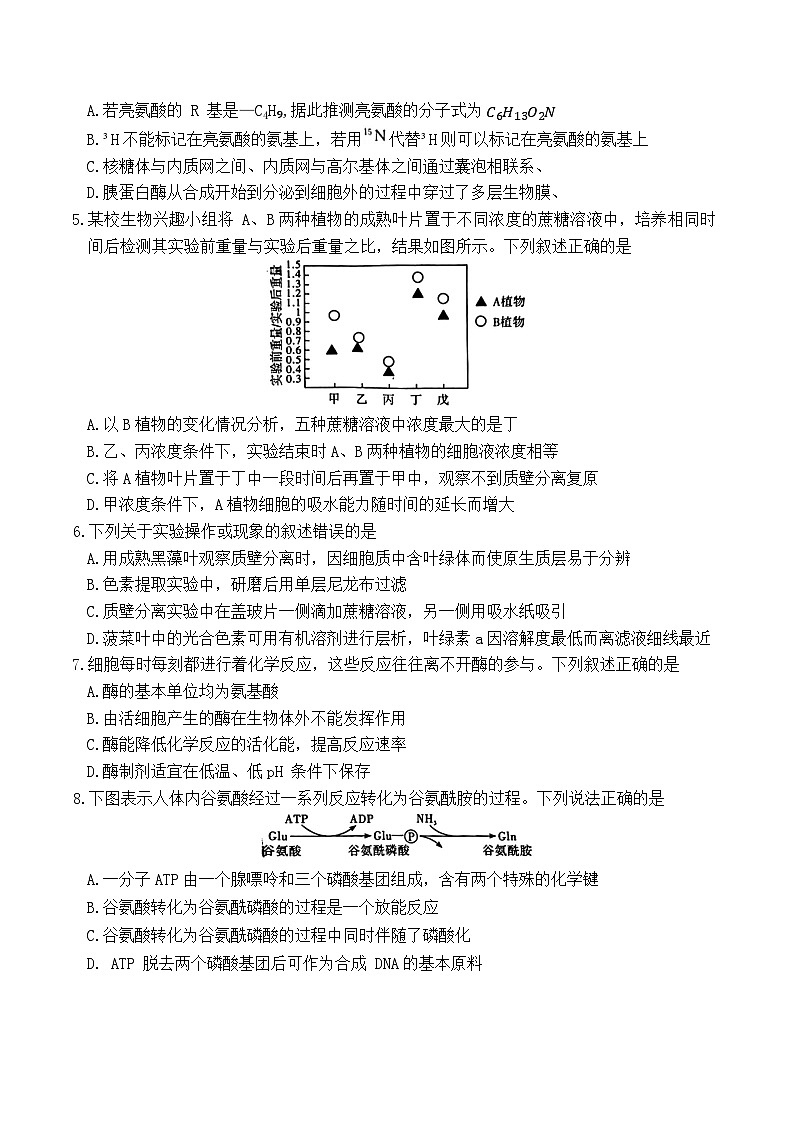 湖南省长沙市第一中学2025-2026学年高一上学期1月期末考试生物试题第2页