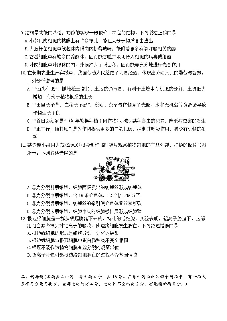 湖南省长沙市第一中学2025-2026学年高一上学期1月期末考试生物试题第3页