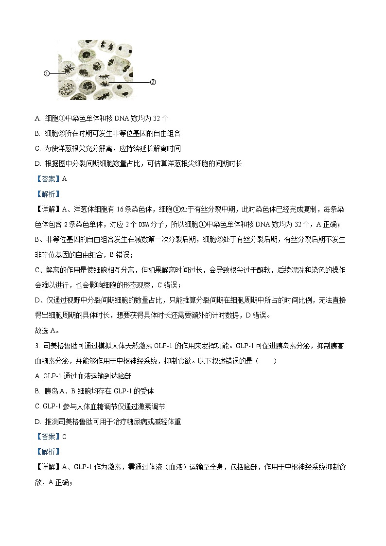 湖南省株洲市2026届高三上学期一模生物试题 Word版含解析第2页
