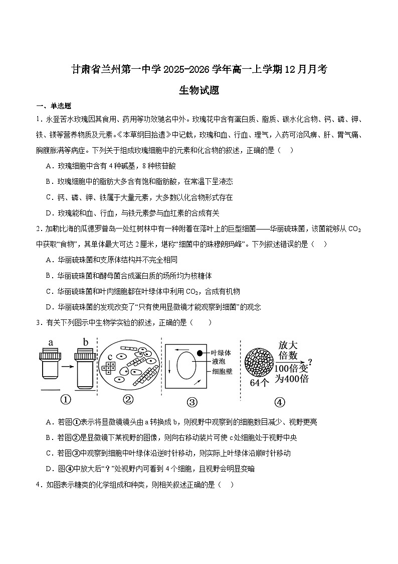 甘肃省兰州第一中学2025-2026学年高一上学期12月月考生物试卷（Word版附答案）第1页