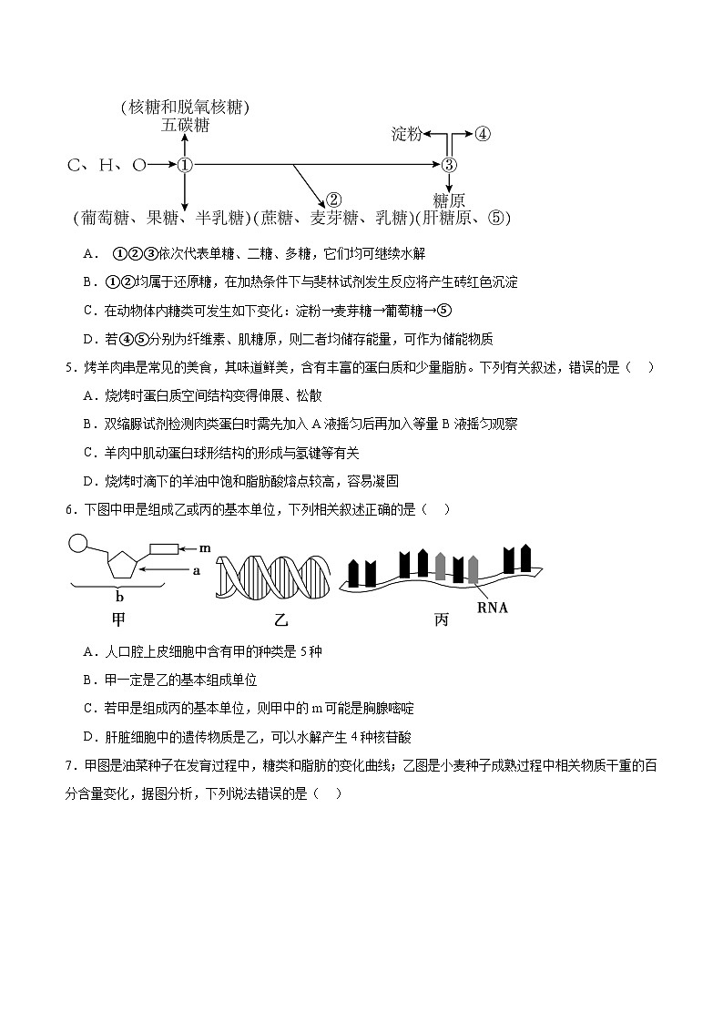 甘肃省兰州第一中学2025-2026学年高一上学期12月月考生物试卷（Word版附答案）第2页