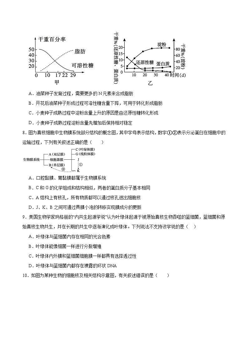 甘肃省兰州第一中学2025-2026学年高一上学期12月月考生物试卷（Word版附答案）第3页