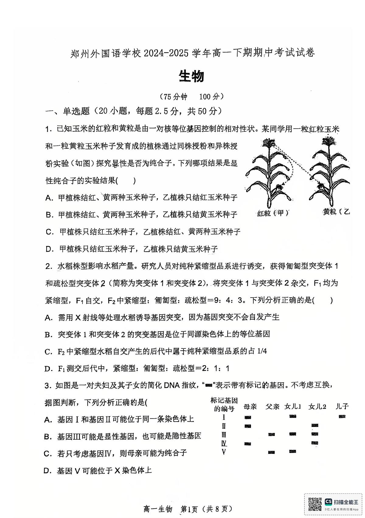 河南省郑州外国语学校2024-2025学年高一下学期期中考试生物试卷第1页